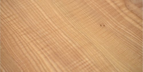 Macro shot of smooth wood grain surface