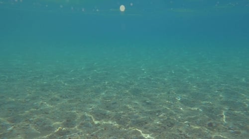 Under And Over Sea Surface In Sunny Day