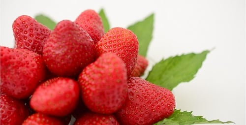 Strawberry 21