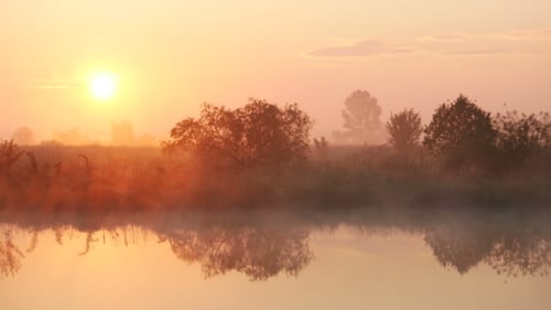 Mist