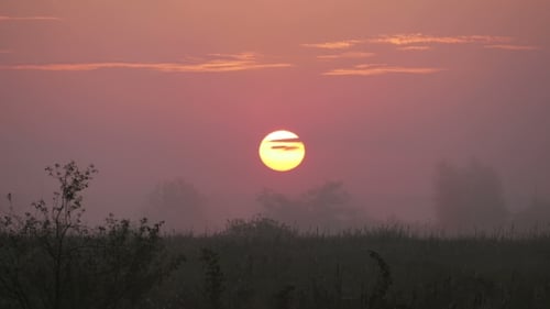Morning Mist