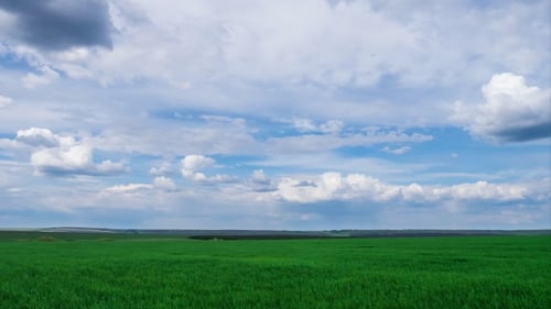 Green Field And Cloudy Sky Beautiful Clouds Floating Over Green Bright Sky Beautiful Landscape