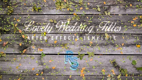 Romantic Wedding Titles with Elegant Animated Lower Thirds