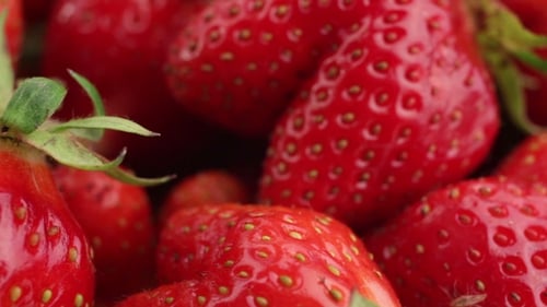 Frische, reife, saftige Erdbeeren rotieren.