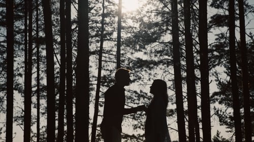 Silhouette Of a Loving Couple Is Kissing In The Park At Sunset
