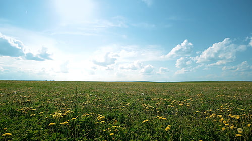 Summer Sun Over The Field
