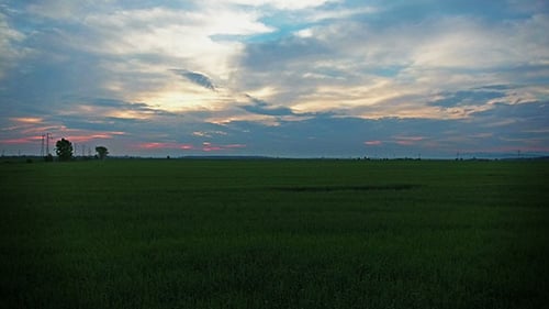 Sunset Over a Field of Wheat