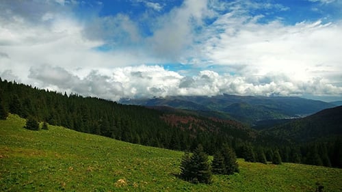 Flying Over the Forest With Snowcapped Mountains
