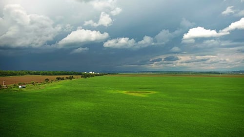 Flying Over A Field Of Wheat