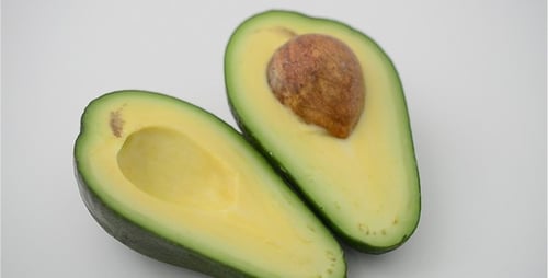 Avocado 13