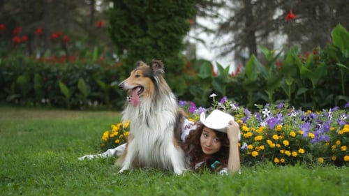 Girl With Dog Resting In a Clearing In The Park