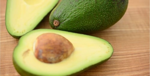 Avocado 23