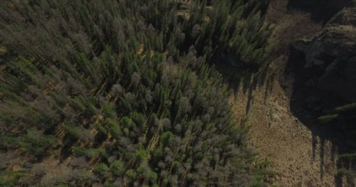 Aerial Of Flying Over Trees To Mountain Lake