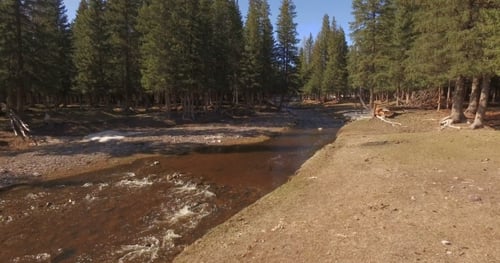 River In Mountain Forest