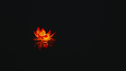 Lanterne en papier brillant en forme de fleur flottant sur l'eau
