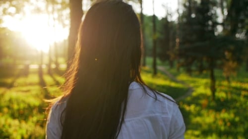 Woman Walking In The Forest At Sunset.