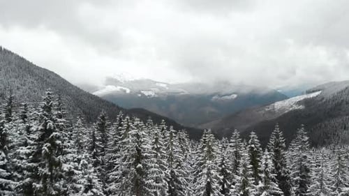 Snowy Winter Mountains Forest Aerial View
