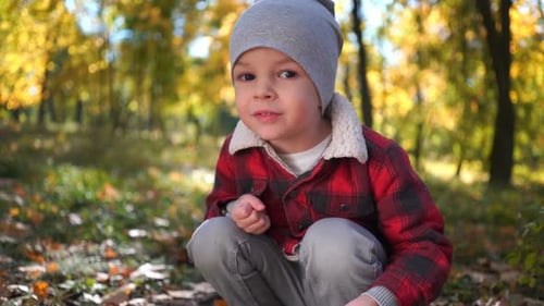 Portrait of a Happy Boy at the Autumn Park