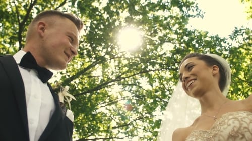 Romantic Wedding Couple Embrace in Natural Sunlight