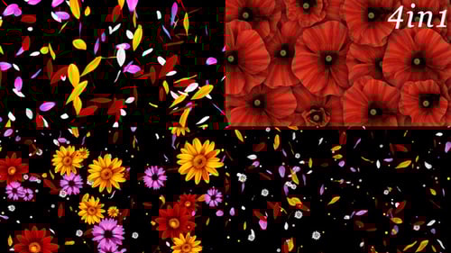 Colorful Flowers Pack