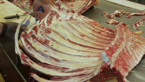 Carne de cerdo Carne de res colgando en una fábrica de carne produciendo salchichas El carnicero corta una carne cruda fresca para