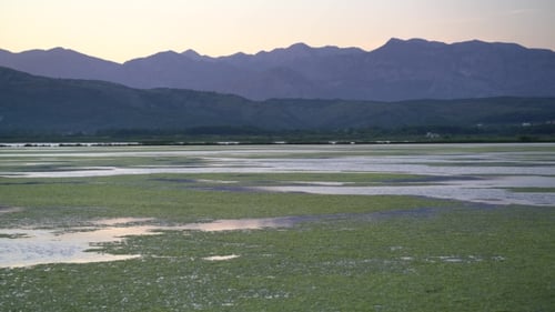 Blick auf die Tierwelt im Sonnenuntergang