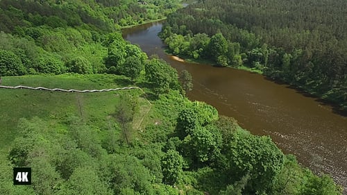 Epic forest and river