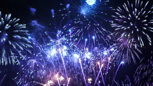 Colorful Fireworks Exploding in the Night Sky