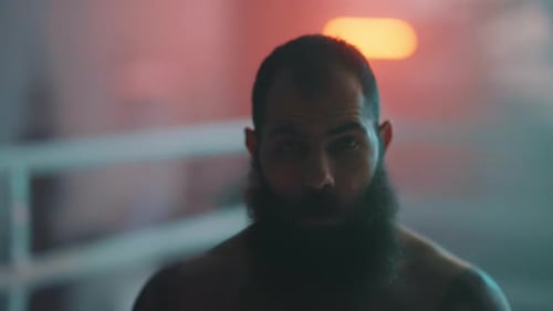 Bearded Boxer