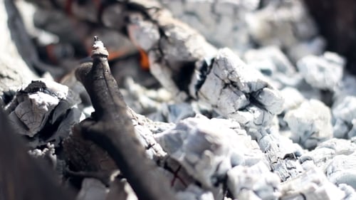 Charcoal. Burning Charcoal. Preparing Wood Ember For Barbecue Grill