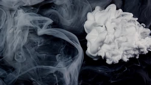 White Ink Plumes Swirling in Black Water