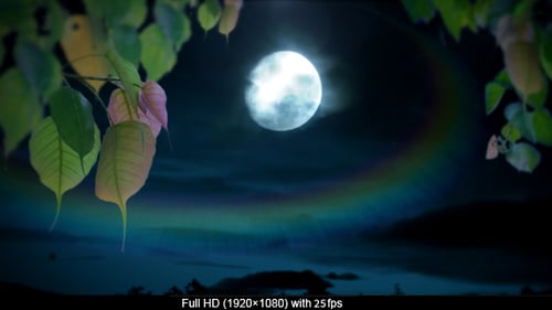 Céu noturno e lua através das folhas de Bodhi