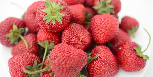 Strawberry 31