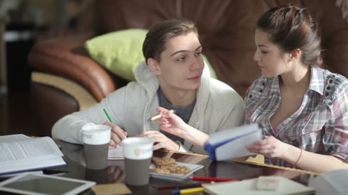 Une fille explique le matériel éducatif à un ami.