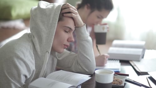 Tired Male Student In Hoodies Falls Asleep.