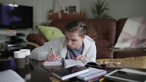 Engrossed Young Adult Studying at Home