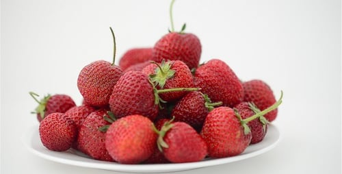 Strawberry 33