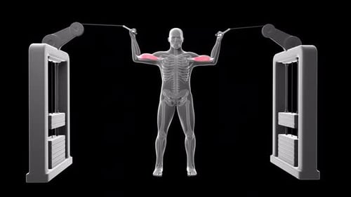 Bicep Muscle Exercise with Cable Machine