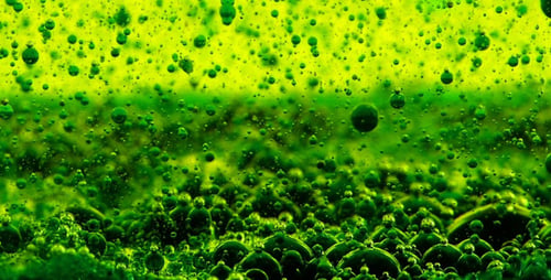 Water Bubbles Ink Behind Glass 20