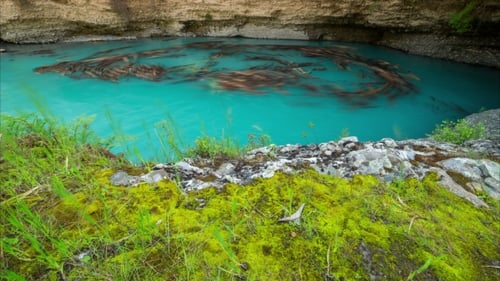 Troncos de árboles en el cañón del lago azul Aksu, Kazajstán -