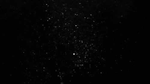 White Glitter Particles Floating on Black Background