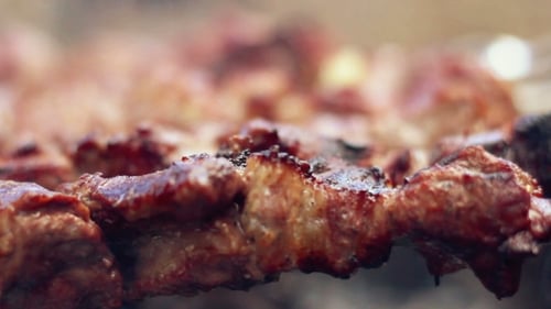 Juicy Barbecue Meat Cooking on Skewers