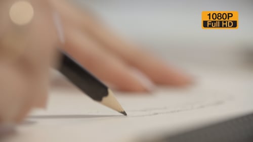 Hand Drawing with Pencil on White Paper