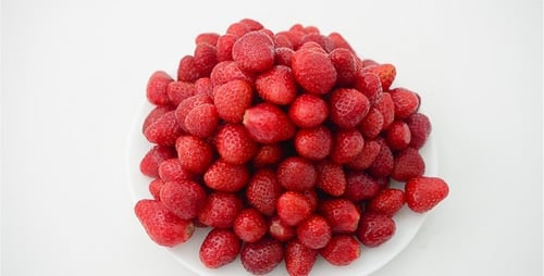 Strawberry 47