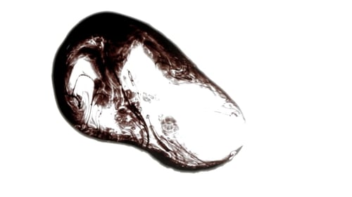 Ink Drop With An Organic Flow