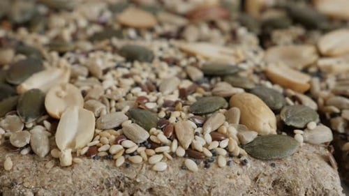 Seeded Bread Close Up