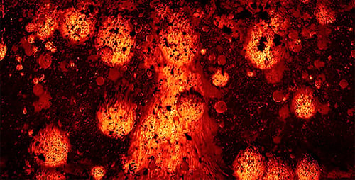 Lava