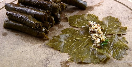 Yaprak Sarma sobre fondo de madera