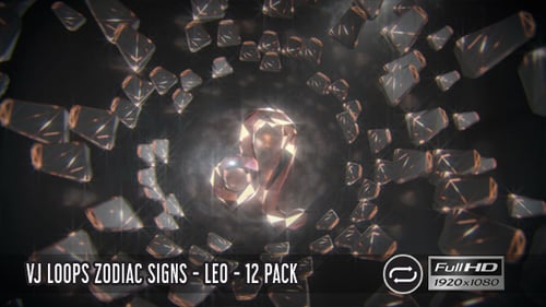 VJ Loops Sternzeichen Löwe, 12er-Pack