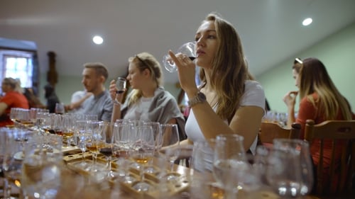 Group Of Young People On a Wine Tasting.